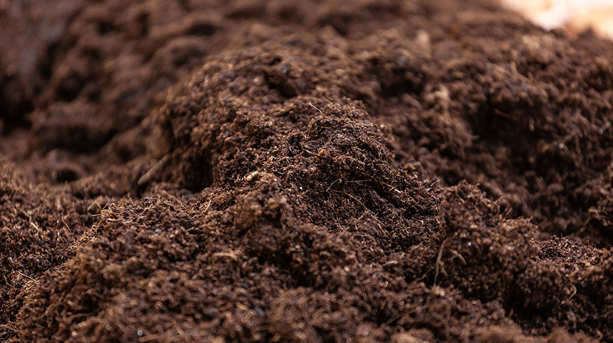 Premium Screened Topsoil