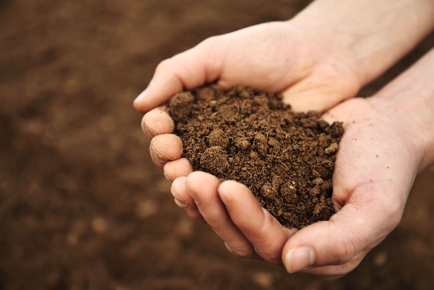 Premium Screened Topsoil