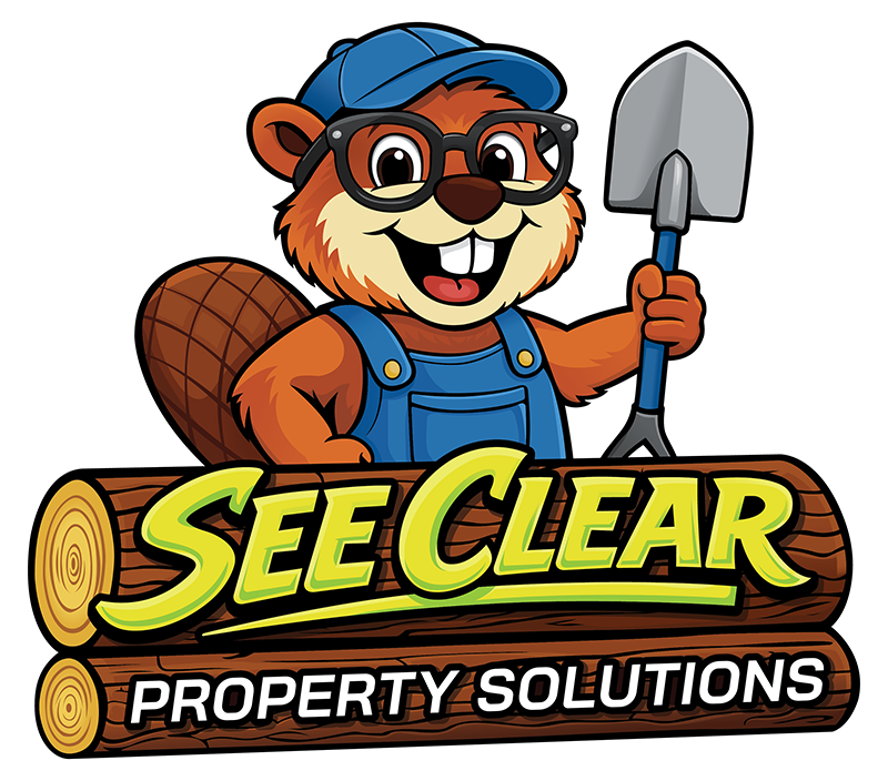 See Clear Tree