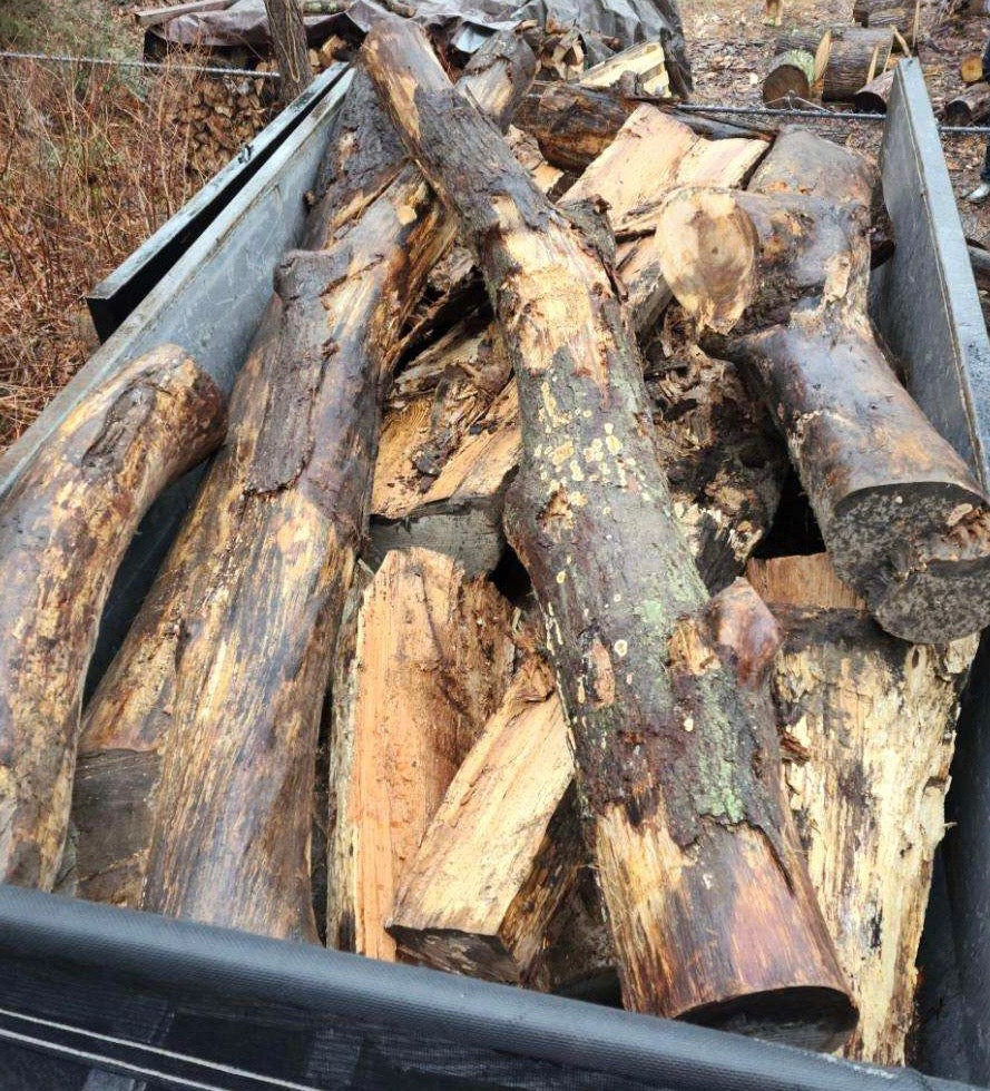 Wood Logs For Fire